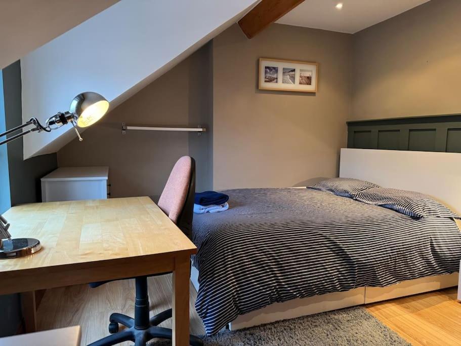 Stylish, Spacious And Central 4 Bedroom House Belfast Eksteriør bilde